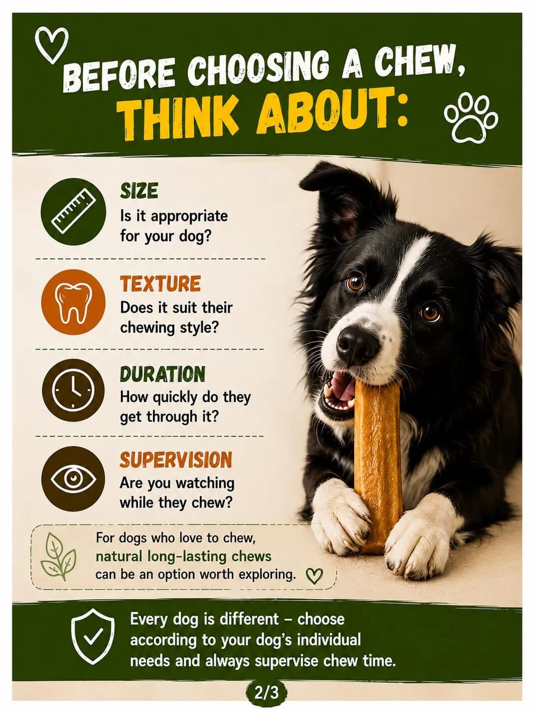 Border Collie chewing a yak chew beside a checklist: size, texture, duration and supervision
