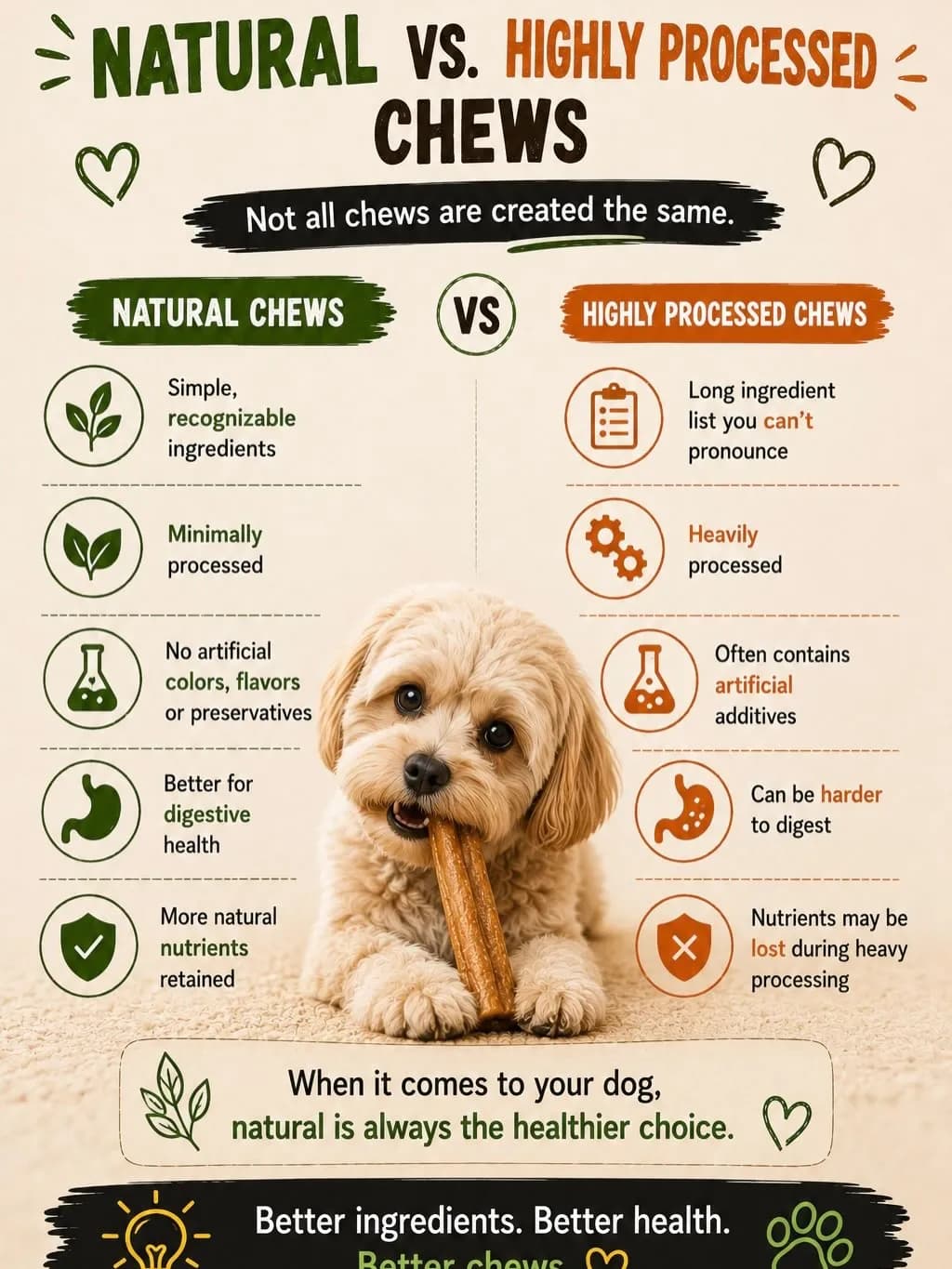 Infographic comparing natural dog chews (simple ingredients, minimally processed, no artificial additives) with highly processed chews