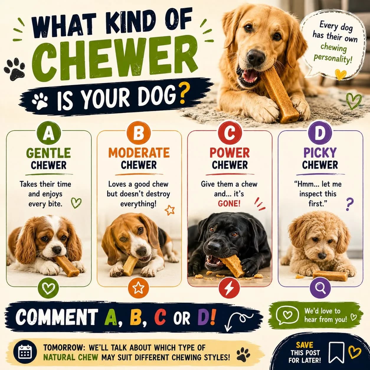 Infographic of four chewer types — gentle, moderate, power and picky — to help choose a yak chew size